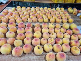 흑토끼님의 자유주제 · 자유게시판 작성글 사진