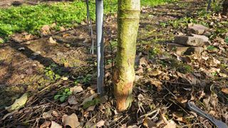 김병수님의 자유주제 · 자유게시판 작성글 사진