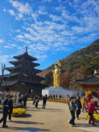 서정훈 님의 자유주제 · 자유게시판 작성글 사진