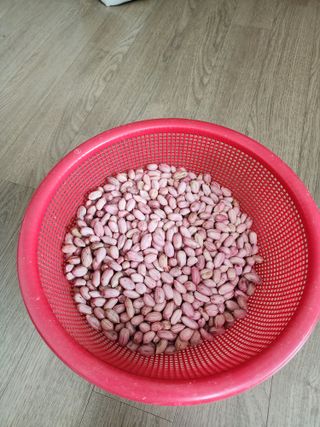 회사원&초보농사꾼님의 자유주제 · 자유게시판 작성글 사진