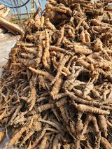 팜모닝 · 게시글 이미지