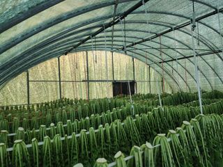 고승현(장수하늘소)님의 자유주제 · 자유게시판 작성글 사진