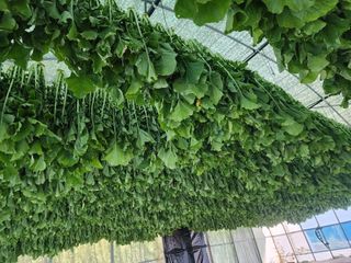 고승현(장수하늘소)님의 자유주제 · 자유게시판 작성글 사진