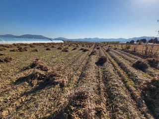 서명석님의 자유주제 · 자유게시판 작성글 사진
