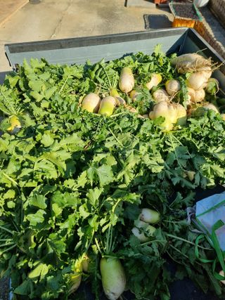 정석범님의 작성글 사진