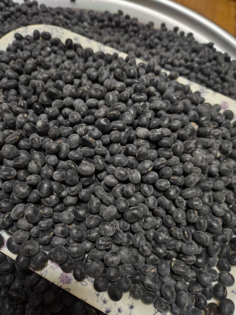 정택희님의 장터 판매 상품 [새바람(속청서리태)] 첨부 사진