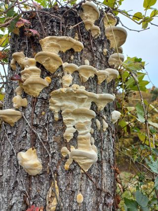 심무재 님의 자유주제 · 자유게시판 작성글 사진