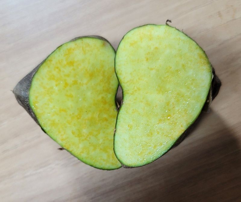 장터 상품 [수확한 햇열매마(하늘마) 3kg] 썸네일