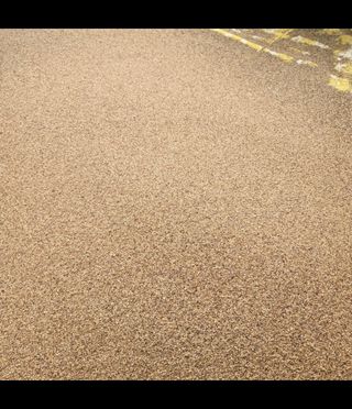 노지잔대재배7년차님의 작성글 사진