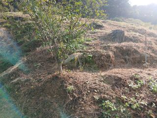 유근승님의 자유주제 · 자유게시판 작성글 사진