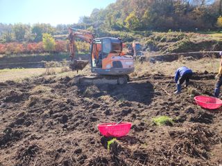 이창신님의 자유주제 · 자유게시판 작성글 사진