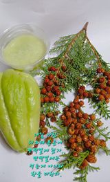 팜모닝 자유주제·자유게시판 게시글 이미지