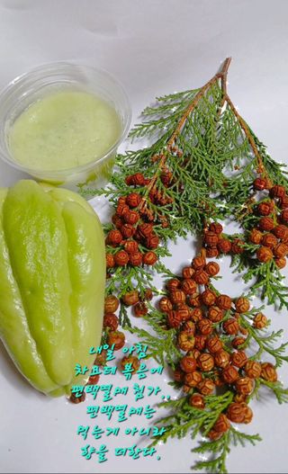 산성골농장님의 자유주제 · 자유게시판 작성글 사진