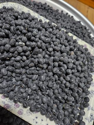 정택희님의 작성글 사진