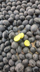 팜모닝 · 게시글 이미지