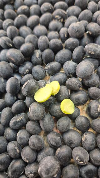 김연숙님의 작성글 사진