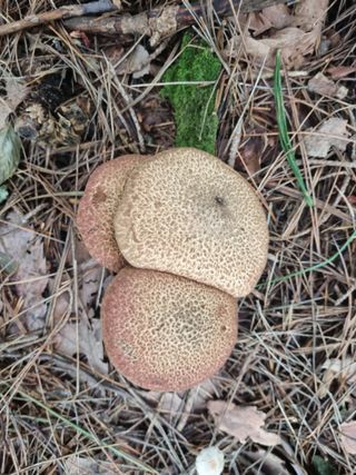팜모닝권세혁회원님의 자유주제 · 자유게시판 작성글 사진