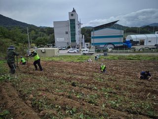 독고다이님의 작성글 사진