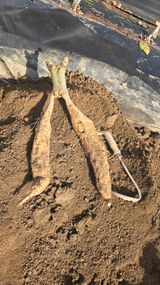 팜모닝 자유주제·자유게시판 게시글 이미지