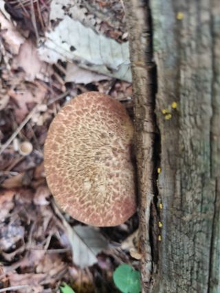 팜모닝권세혁회원님의 자유주제 · 자유게시판 작성글 사진