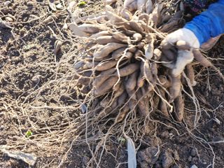 이창신님의 자유주제 · 자유게시판 작성글 사진