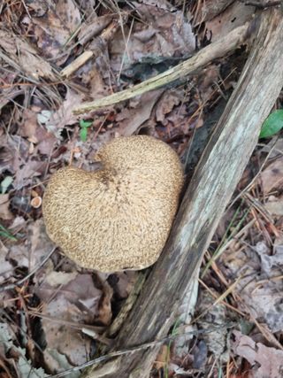 팜모닝권세혁회원님의 자유주제 · 자유게시판 작성글 사진