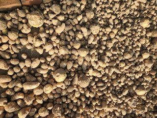 박동현님의 작성글 사진