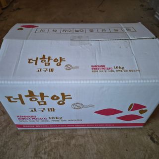 독고다이님의 작성글 사진