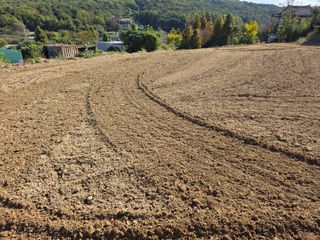 김석기님의 자유주제 · 자유게시판 작성글 사진