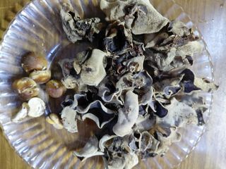 조명희님의 자유주제 · 자유게시판 작성글 사진