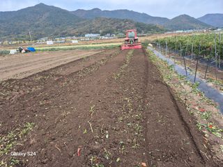 사천시향촌동 돼지띠님의 자유주제 · 자유게시판 작성글 사진