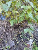 팜모닝 자유주제·자유게시판 게시글 이미지