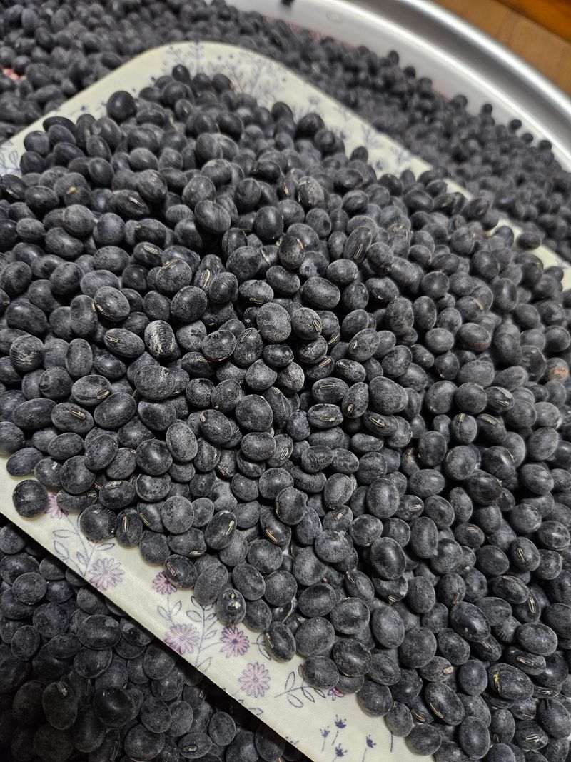 정택희님의 장터 판매 상품 [새바람(속청서리태)] 첨부 사진