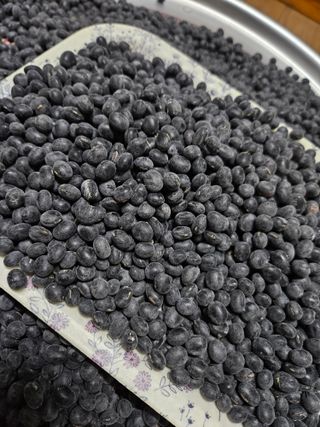 정택희님의 작성글 사진