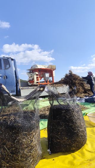 윤충기님의 자유주제 · 자유게시판 작성글 사진