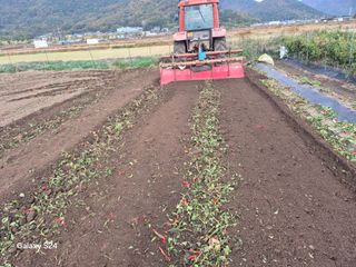 사천시향촌동 돼지띠님의 자유주제 · 자유게시판 작성글 사진