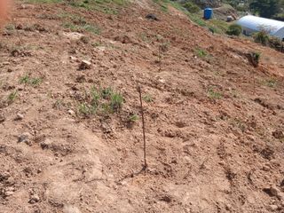 유근승님의 자유주제 · 자유게시판 작성글 사진