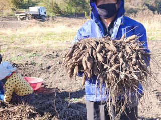 이창신님의 자유주제 · 자유게시판 작성글 사진