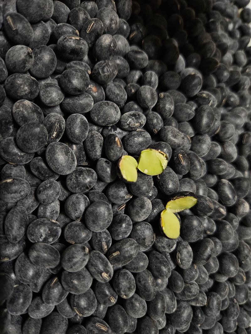 정택희님의 장터 판매 상품 [새바람(속청서리태)] 첨부 사진