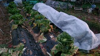 장석오님의 자유주제 · 자유게시판 작성글 사진