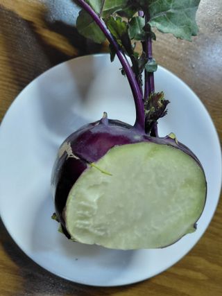 조명희님의 자유주제 · 자유게시판 작성글 사진