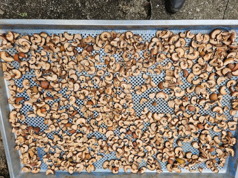 대봉매실 인생이막님의 장터 판매 상품 [건돌배  700g 1팩] 첨부 사진