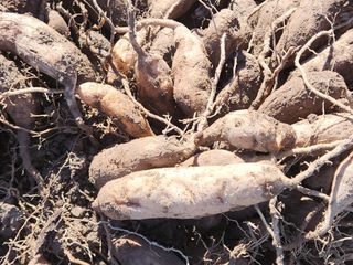 이창신님의 자유주제 · 자유게시판 작성글 사진