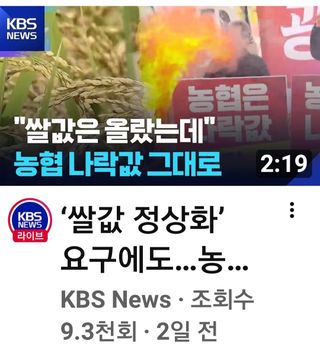 권리를위한투쟁님의 벼 · 자유게시판 작성글 사진