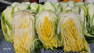 손윤영/수채화농원님의 작성글 사진