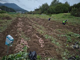 독고다이님의 작성글 사진