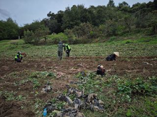 독고다이님의 작성글 사진
