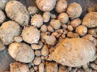 박동현님의 작성글 사진