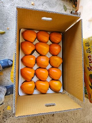 대봉매실 인생이막님의 작성글 사진