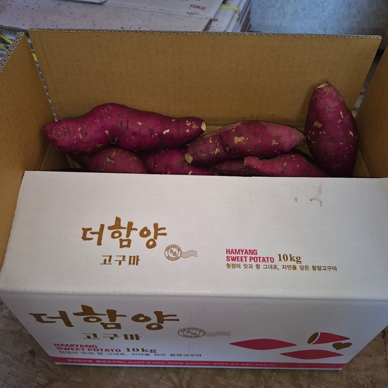 독고다이님의 장터 판매 상품 [해남 꿀 고구마 10kg] 첨부 사진